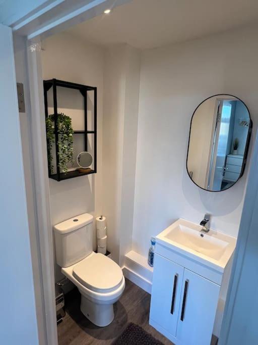 Abbotsbury 1 Bed Studio Opposite Uwe Free Parking Bristol Zewnętrze zdjęcie